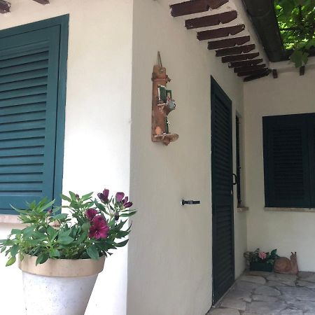 B&B Uva Fragola Perugia Eksteriør billede