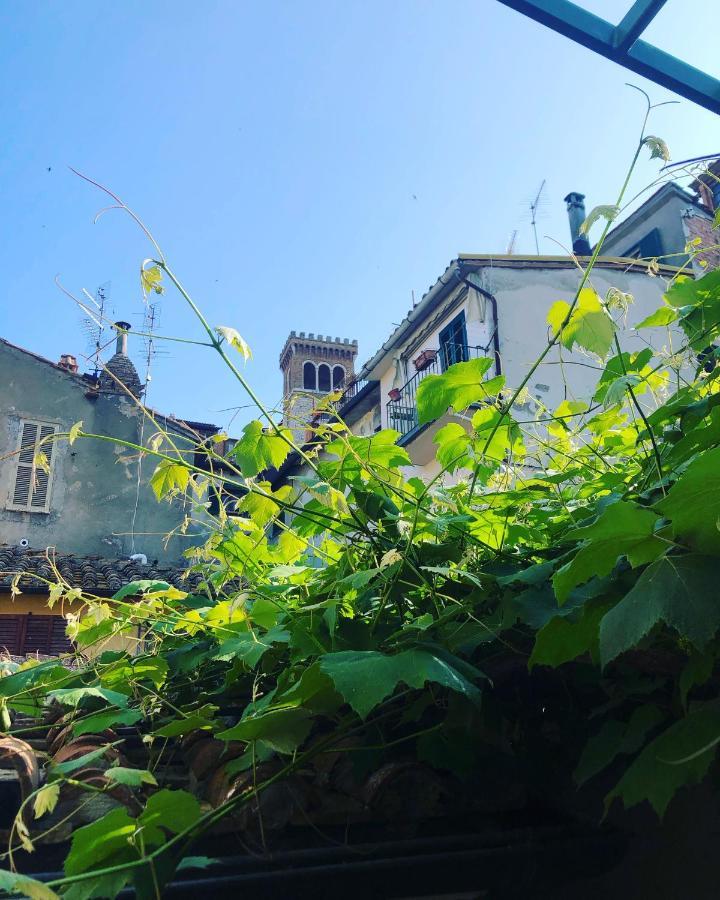 B&B Uva Fragola Perugia Eksteriør billede